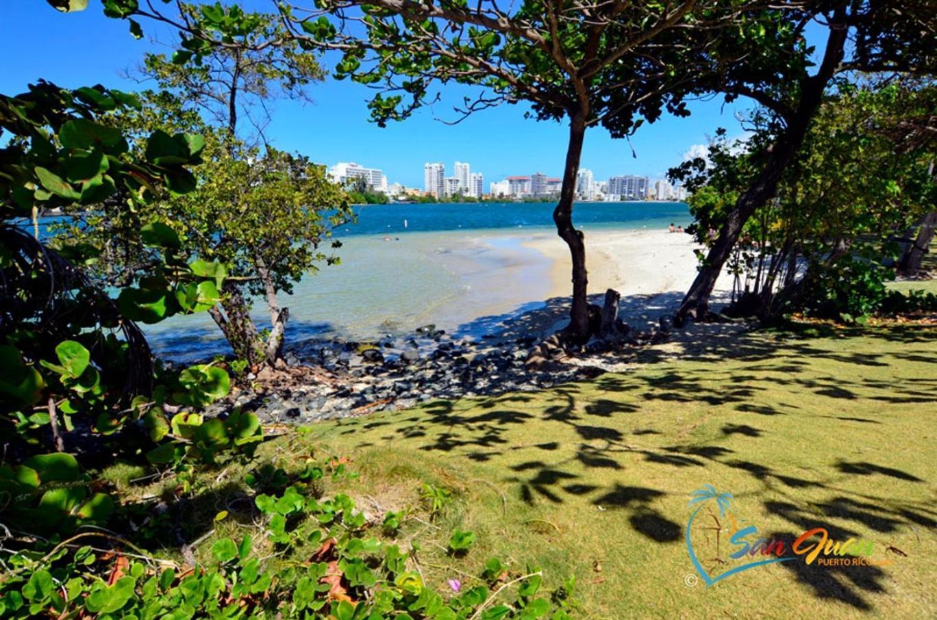 Апартаменты Hidden Gem In Miramar- Power Generator- Parking Сан-Хуан Экстерьер фото